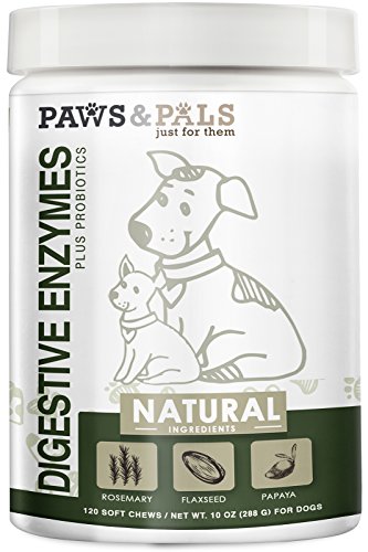 Paws & Pals Dog Digestive Enzymes Plus Probiotics Soft Chew Vitamins with Rosemary, Flax Seed, Papaya - 120 Count