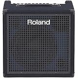 Roland Electronic Keyboard Power Supply (KC-400)