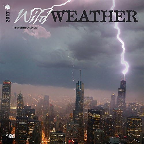 Wild Weather 2017 Wall Calendar