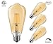 Dimmable Led Bulb, 6w LED Edison Bulb, 60w Equivalent, 6W Vintage LED Filament Light Bulb, St64 Led Bulb,2400-2700K (Amber Glow),e26 Medium Screw Base, Amber Glass Cover, 4 Pack