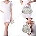BMC Silver Beaded Sequin Design Metal Frame Kissing Lock Satin Clasp Interior Evening Clutch - Exuding Eloquence Collection