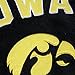 Fabrique Innovations NCAA Pillow Pet, Iowa Hawkeyes