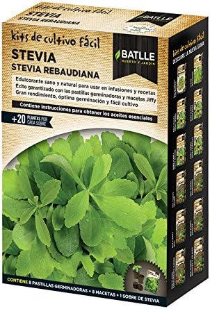 Huerto Urbano - Kit Stevia - Batlle: Amazon.es: Jardín