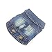 DOGGYZSTYLE Cool Blue Dog Jean Jacket Small Pet Outfits Dog Clothes for Small Medium Dogs Cats Boys Girls Pet Vest Denim Coats Puppy Shirts Doggy Costume Clothing for Shih tzu Chihuahua Yorkie Teacup