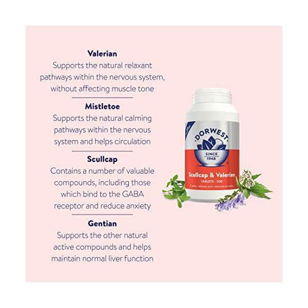 Dorwest-Herbs-Scullcap-Valerian-Tablets-100-tablets Dorwest Herbs Scullcap & Valerian Calming Tablets for Dogs and Cats, 100 Tablets, Natural Dog Calming Supplements for…