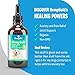 Hemp Oil for Dogs and Cats - Organic Dog Hemp Oil for Anxiety Relief, Calming and Joint Health - Easily Apply to Treats - Grown in USA