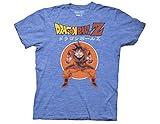 Ripple Junction Dragon Ball Z Retro Goku DBZ With Japanese Adult T-Shirt 2XL Heather Royal