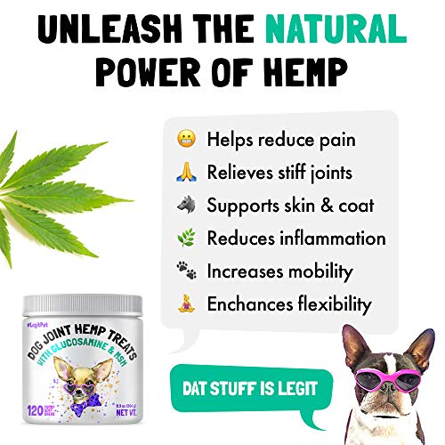 LEGITPET Hemp Hip & Joint Supplement for Dogs - 120 Soft Chews - Made in USA - Glucosamine for Dogs - Chondroitin - MSM - Turmeric - Hemp Seed Oil - Natural Pain Relief & Mobility