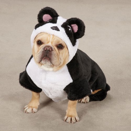 Casual Canine Panda Pup Pet Costume - Black
