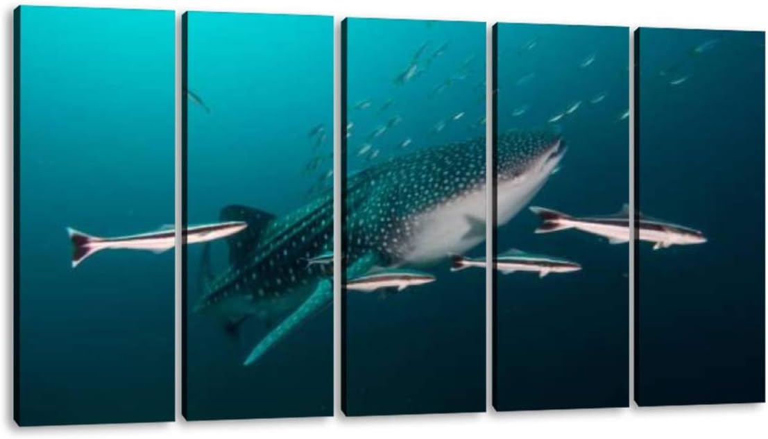 KiiAmy 5 Panels Art Wall Decor Whale Shark with an Entourage Whale Shark Stock Pictures, Royalty Artwork Modern Canvas Prints Office Bedroom Home Decor Framed Painting Ready to Hang (60''Wx32''H)