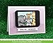 Lawn Fawn Wild for You Stamp and Die Bundle (LF1413) and (LF1414)