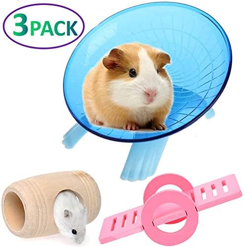 guinea pig exercise wheel