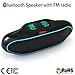 iFox IFS309 Wireless Portable Bluetooth Speaker for iPhone iPad Android or Computer with FM Radio, AUX, USB, SD, Speakerphone and NFC, 6W Best Bass