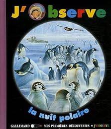 J'observe la nuit polaire