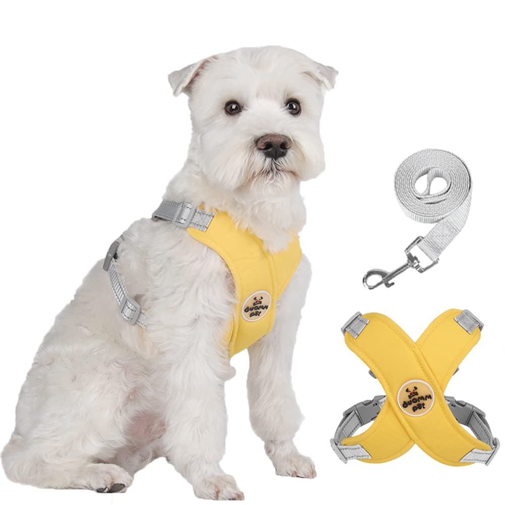 FEimaX No Pull Dog Harness and Lead Set for Small Medium Dogs Adjustable Step-in Pet Vest Harness Reflective Breathable Soft Mesh Padded Puppy Harnesses for Outdoor Walking Training