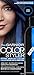 Garnier Hair Color Color Styler Intense Wash-Out Color, Blue Burst