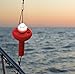 Weems & Plath C-1001 SOS Distress Light with Day Signal Flag