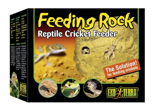 Exo Terra Reptile Cricket Feeder Amazon Co Uk Pet Supplies