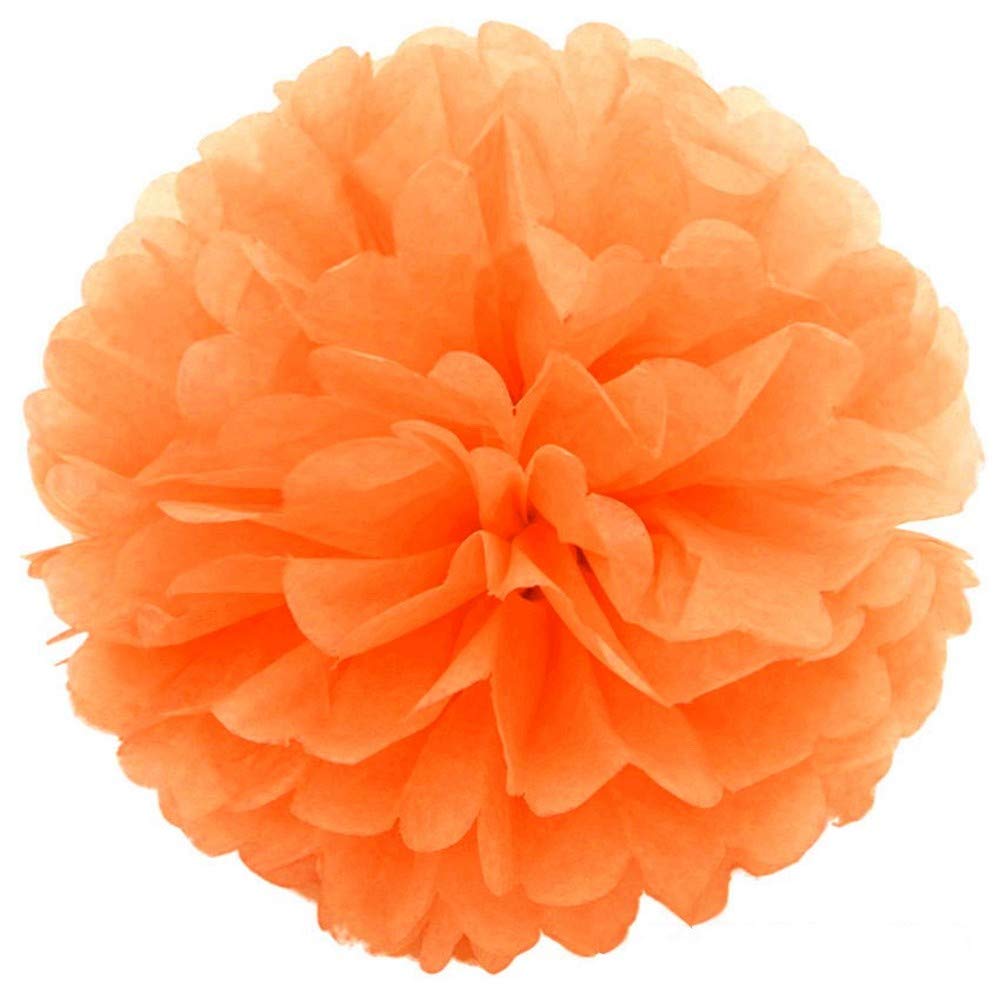 JZK 10pcs 25cm Light Orange Tissue Paper Hanging pom poms Flower Ball Decorative Pompom Party Decorations for Wedding, Birthday, Baptism, Baby Shower, Holy Communion, Girls Bedroom