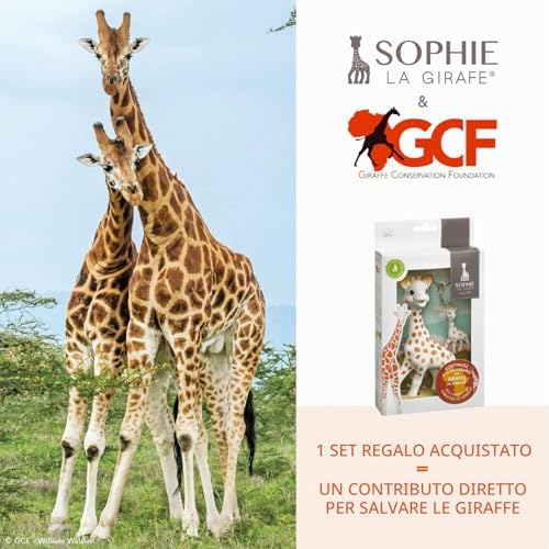 - Cofanetto GCF Giraffe Conservation - Dalla Nascita