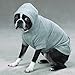 Zack & Zoey Fleece-Lined Hoodie for Dogs, 16