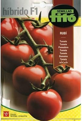 Semillas Fitó Tomate Rubí Híbrido: Amazon.es: Jardín