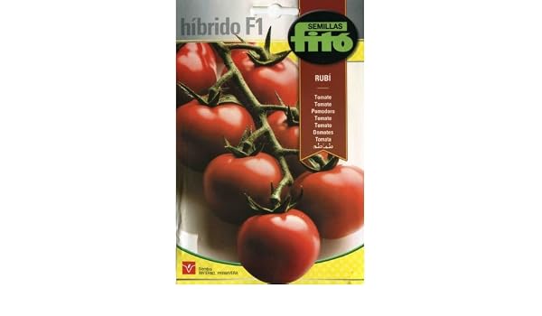 Semillas Fitó Tomate Rubí Híbrido: Amazon.es: Jardín