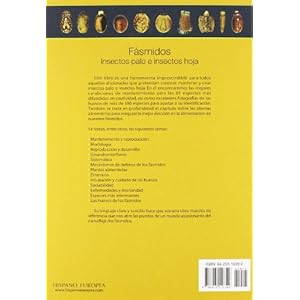 Fasmidos/ phasmids: Insectos palo e insectos hoja/ Stick And Leaf Insects (Spanish Edition)