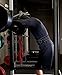 SERIOUS STEEL FITNESS 10MM Double Prong Lifting Belt - Medium