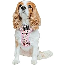 Amazon.com : Sassy Woof Dog Adjustable Harness - Harley