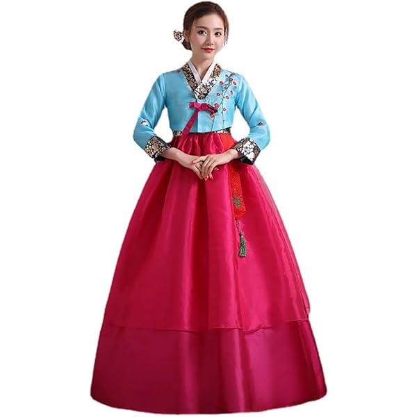 Amazon.com: Women Hanbok Dress Korean Traditional Hanbok Korean Hanbok  Korean Traditional Dress Korean National Costumes (Pink, S) : Clothing,  Shoes & Jewelry