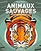 Animaux sauvages : Voyage en Terres du Sud by