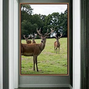 signwin Framed Canvas Wall Art Deer Animals Deer...
