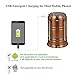 GAXmi Solar Camping Lantern Rechargeable Emergency Light Portable Collapsible LED Flashlight (Bronze)