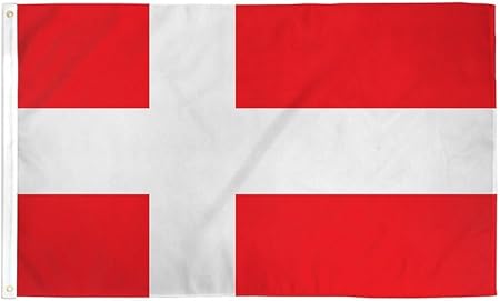 Amazon.com : Vista Flags 3x5 Denmark Flag Danish Polyester Banner ...