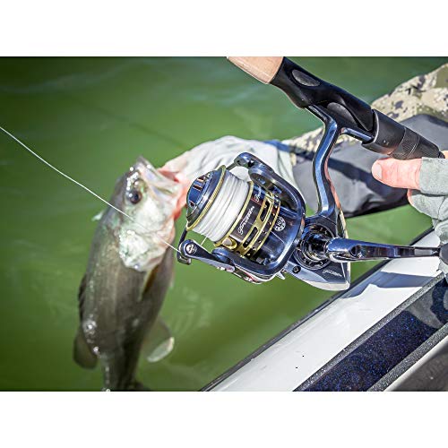 Pflueger President Spinning Reel, Size 25 Fishing Reel, Right/Left