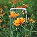 NeWisdom iPhone 8 case Clear, iPhone 7 Crystal Clear case,Shockproof, Shock-Resistant