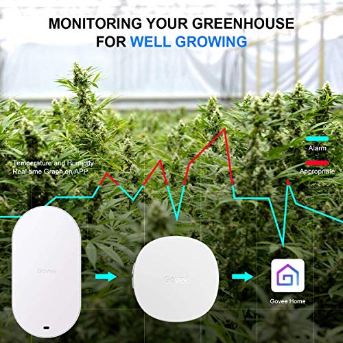 Govee Upgraded Indoor Outdoor Thermometer Hygrometer, WiFi Digital