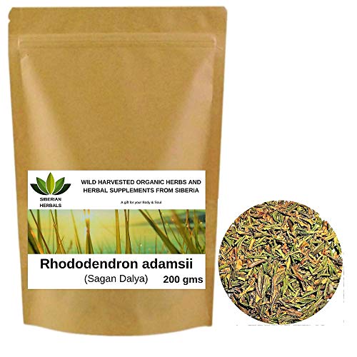 globulis thuja c30 Thuja Occ 200 CH (30 Gram Diluted Pills)  ShopHomeo