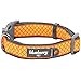 Blueberry Pet 13 Patterns Soft & Comfy Urban Chic Diamond Pattern Neoprene Padded Dog Collar, Yellow, Medium, Neck 14.5