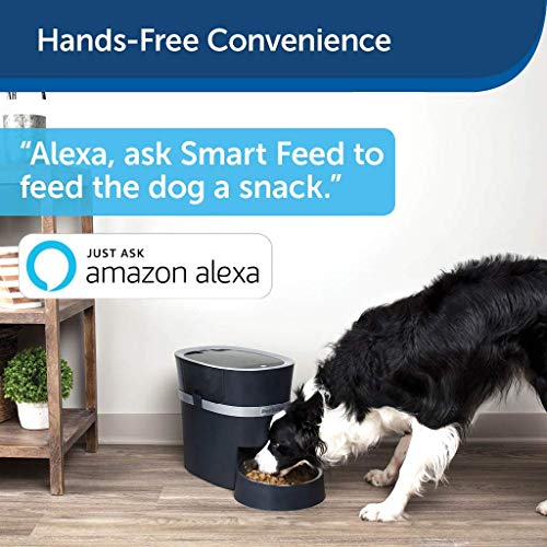 Petsafe Smart Feed Automatic Dog And Cat Feeder Wi Fi Enabled Pet