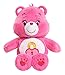 Care Bears Secret Medium Plush with DVD