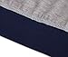 Naier Casual Womens Tops Leggings Rglan Long Sleeve Sweatshirt Color Block T-Shirts Light Blue M