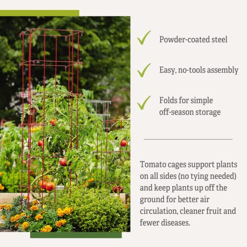 Gardener's Supply Company Lifetime Tomato Cages Plant Stand Heavy