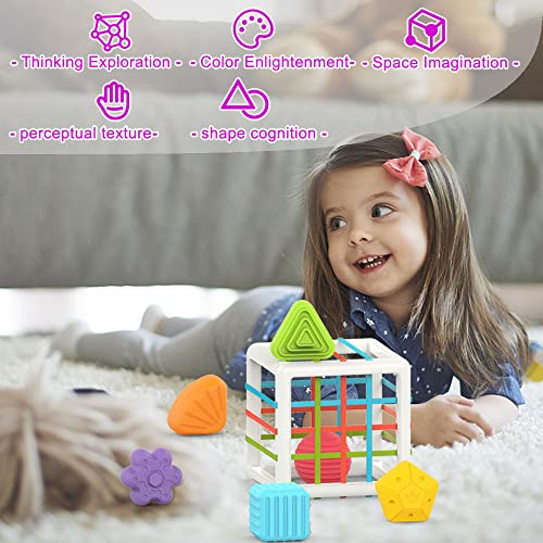 ZNikoyidy Montessori Toys for 1 Year Old, Shape Sorter Baby Toys