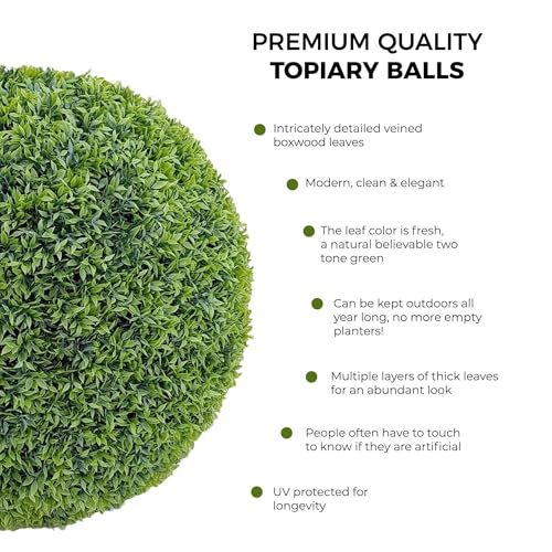 365 Curb Appeal 23" XL Topiary Balls (Better Than A Boxwood, 2 Topiary Balls (4 Halves))