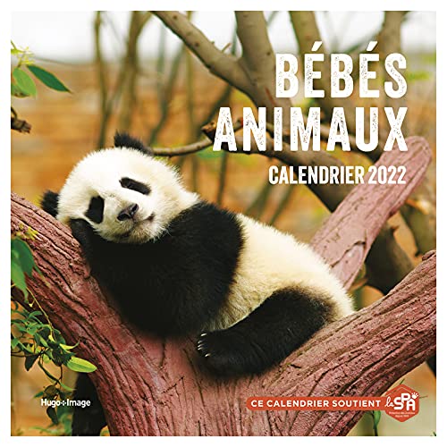Calendrier Mural Bebes Animaux 22 Collectif Amazon Com Books
