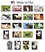 CATS and KITTENS Postcard Set of 20 Postcards. Cat and Kitten Post Card Variety Pack. Made in USA.