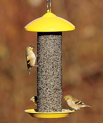 Amazon Com Stokes Select 38171 Finch Screen Bird Feeder With