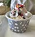 Candy/Nut Mini Baking Paper Treat Cups - Black Silver White - Polka Dot - 48 Pack